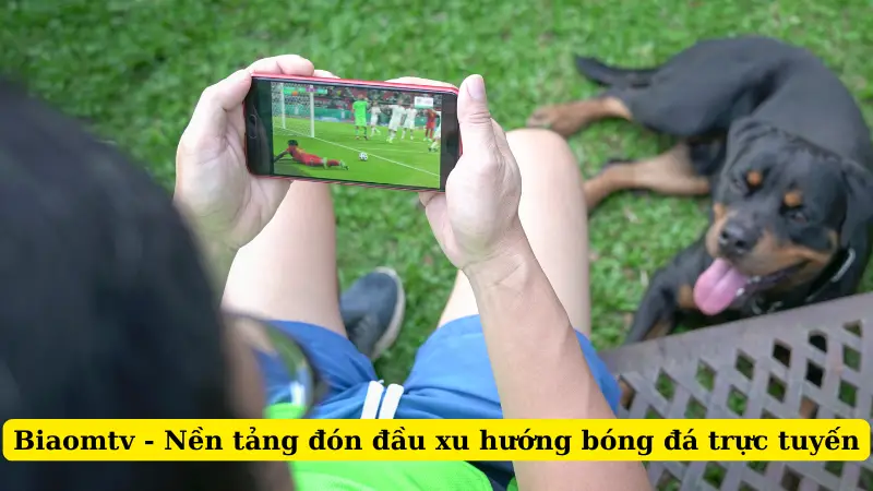Biaomtv - Nền tảng đón đầu xu hướng bóng đá trực tuyến