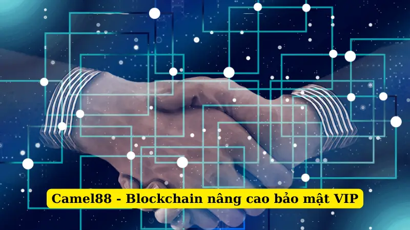 Camel88 - Blockchain nâng cao bảo mật VIP