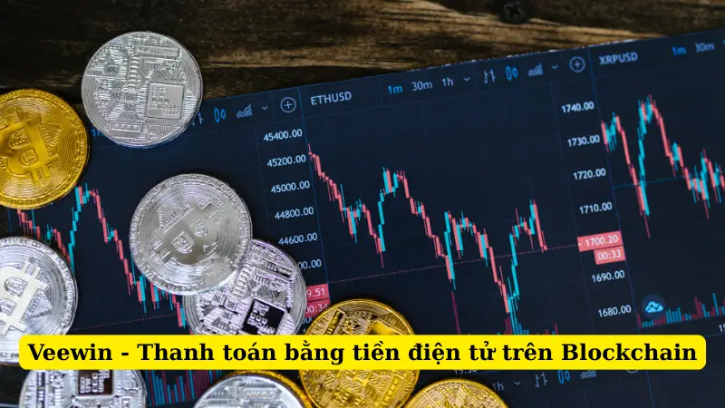 Veewin - Thanh toán bằng tiền điện tử trên Blockchain